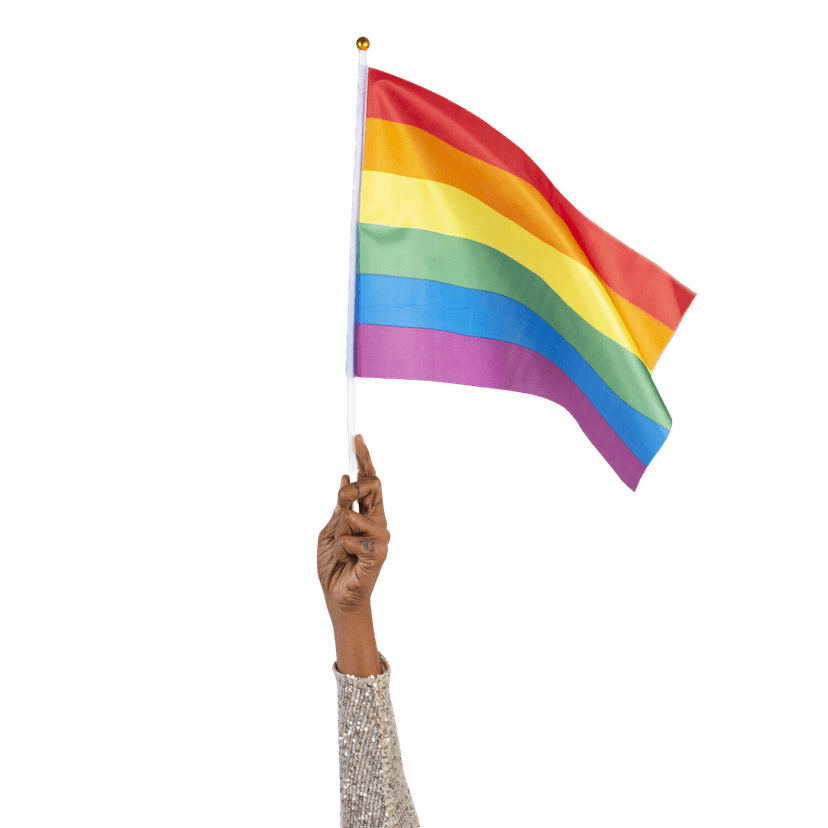 LGBTQIAP+ flag